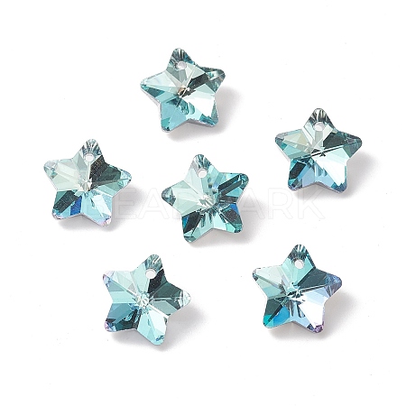 Electroplate Glass Charms GLAA-H104-A08-1