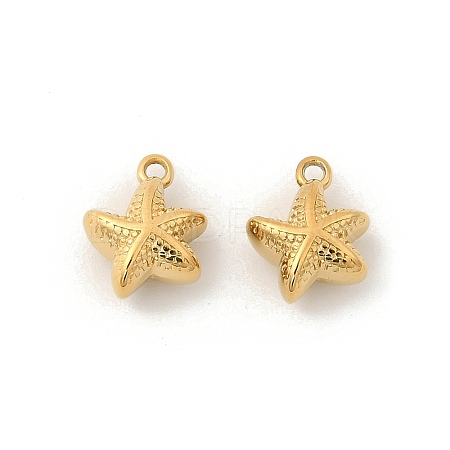 304 Stainless Steel Charms STAS-G358-08G-02-1