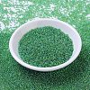 MIYUKI Round Rocailles Beads SEED-G007-RR0179L-2