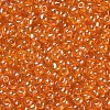 Glass Seed Beads X1-SEED-A006-3mm-109-2
