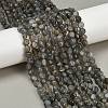 Natural Labradorite Beads Strands G-Q060-B02-1
