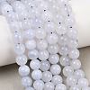 Natural Blue Chalcedony Beads Strands G-K310-C12-8mm-1