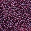 TOHO 11/0 Round Beads SEED-XTR11-0332F-1