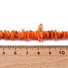 Natural Freshwater Shell Beads Strands BSHE-I016-01F-2