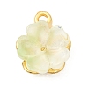 Alloy Glass Charms FIND-C079-05G-02-1
