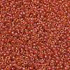 MIYUKI Round Rocailles Beads X-SEED-G007-RR0235-2