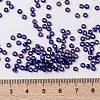 MIYUKI Round Rocailles Beads SEED-X0055-RR1020-4