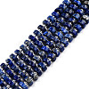 Natural Lapis Lazuli Beads Strands G-N327-07B-1