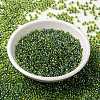MIYUKI Round Rocailles Beads SEED-X0055-RR0341-2