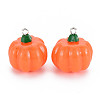 Autumn Theme Opaque Resin Pendants LS-X-RESI-S356-079-2