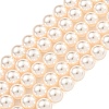 Glass Pearl Beads Strands HY-G002-01D-03-1