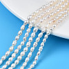 Natural Cultured Freshwater Pearl Beads Strands PEAR-N012-03B-1
