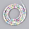 Natural Trochid Shell/Trochus Shell Beads Strands SSHEL-N040-21A-2