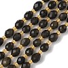 Natural Golden Sheen Obsidian Beads Strands G-F809-A27-01-2