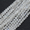 Natural Rainbow Moonstone Beads Strands LS-G-E411-08-4mm-1