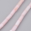 Natural Shell Bead Strands BSHE-P016-02-1