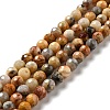 Natural Crazy Lace Agate Beads Strands G-E571-36A-1