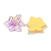 Resin Pendants RESI-D016-04B-3
