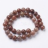 Natural Purple Aventurine Beads GSR10mmC025-3