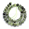 Natural Prehnite Beads Strands G-K224-03-10mm-2