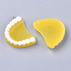 Resin Pendants RESI-T028-14-2