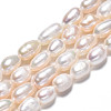 Natural Cultured Freshwater Pearl Beads Strands X-PEAR-N012-05D-3