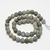 Natural Labradorite Frosted Bead Strands G-O155-04A-8mm-2