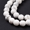 Natural Howlite Beads Strands G-E571-29A-5
