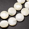 Natural Trochid Shell/Trochus Shell Beads Strands SSHEL-K016-03A-3