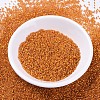 MIYUKI Delica Beads SEED-J020-DB0681-2