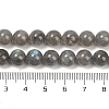 Natural Labradorite Beads Strands G-G448-8mm-04A-2