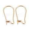 316 Surgical Stainless Steel Hoop Earring Findings STAS-A056-12G-C-1