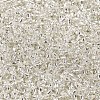 12/0 Glass Seed Beads SEED-A005-2mm-21-2