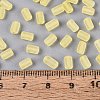 FGB Frosted Transparent Glass Seed Beads SEED-N013-05A-02-4