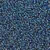 MIYUKI Round Rocailles Beads SEED-G007-RR2459-3