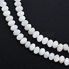 Natural Freshwater Shell Beads Strands SHEL-G013-03B-3