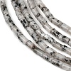 Natural Seame Jasper Beads Strands G-P600-B11-01-4