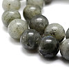 Natural Labradorite Bead Strands X-G-P256-01-4mm-3