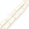 Electroplated Shell Pearl Beads Strands BSHE-G027-08A-1