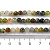 Natural New Jade Beads Strands LS-G-F591-16-5MM-5