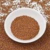 MIYUKI Delica Beads SEED-J020-DB2287-2