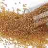 TOHO Round Seed Beads SEED-JPTR15-0103B-1