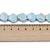 Handmade Porcelain Beads Strands PORC-Q002-01A-05-3
