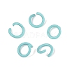Spray Painted Iron Open Jump Rings IFIN-T017-04C-05-1