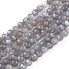 Natural Rainbow Moonstone Beads Strands G-R475-025C-1