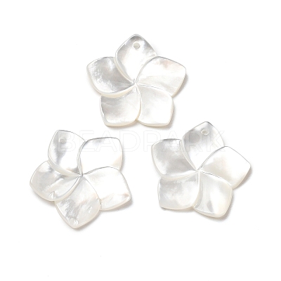 Natural White Shell Mother of Pearl Shell Pendants SSHEL-G014-60-1