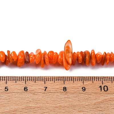 Natural Freshwater Shell Beads Strands BSHE-I016-01F-1