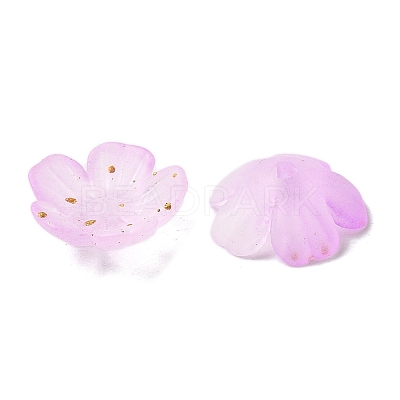 Acrylic Bead Caps OACR-Z028-03A-1