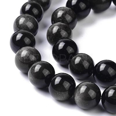 Natural Silver Obsidian Beads Strands G-D083-01C-1