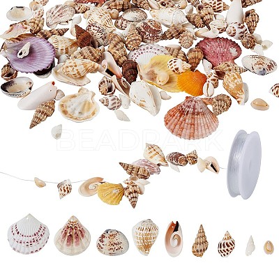 Mixed Shell Beads BSHE-TA0002-05-1